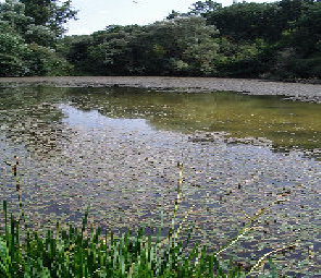 esclignac001006.jpg