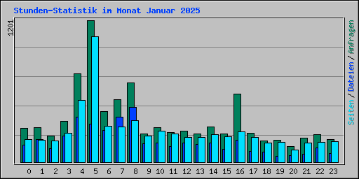 Stunden-Statistik im Monat Januar 2025