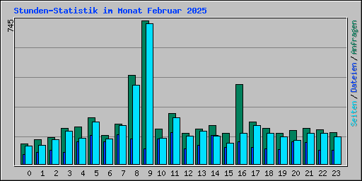 Stunden-Statistik im Monat Februar 2025