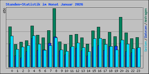 Stunden-Statistik im Monat Januar 2026