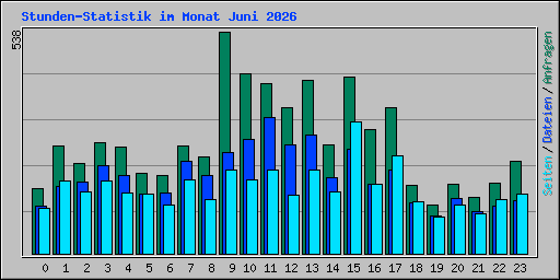 Stunden-Statistik im Monat Juni 2026